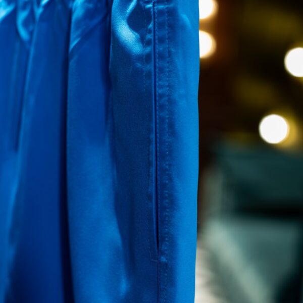 Blue Sport Pant - Image 5