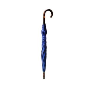 Umbrella #001