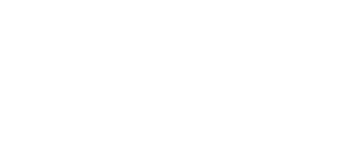 ZIGMA Logo