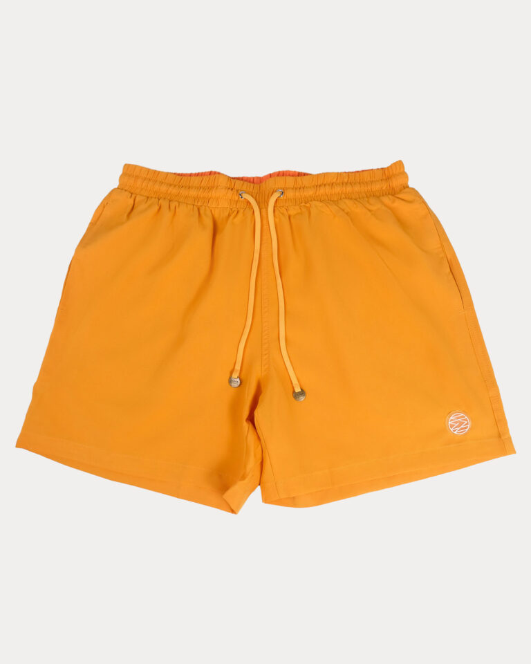 Breton Swim Trunks