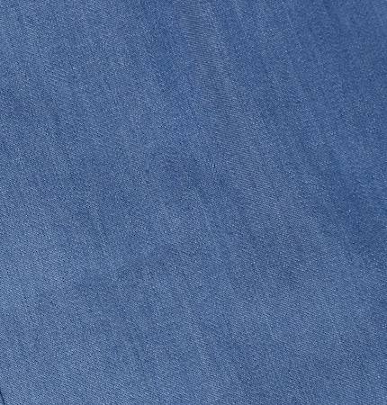 Blue Whale