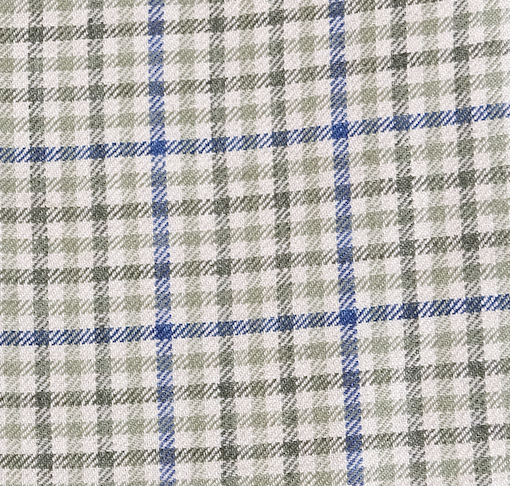 Blue/Green Check