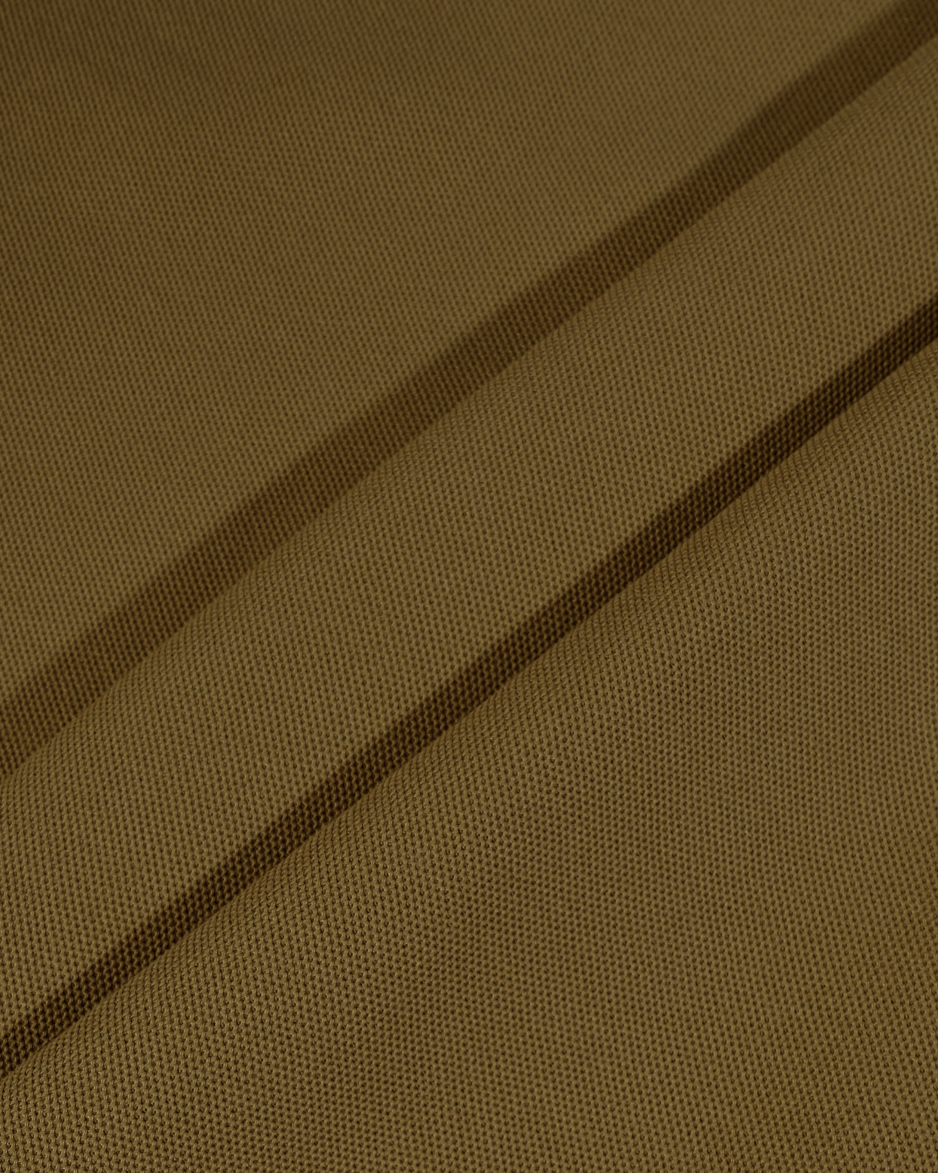 Camel Tailor_PO